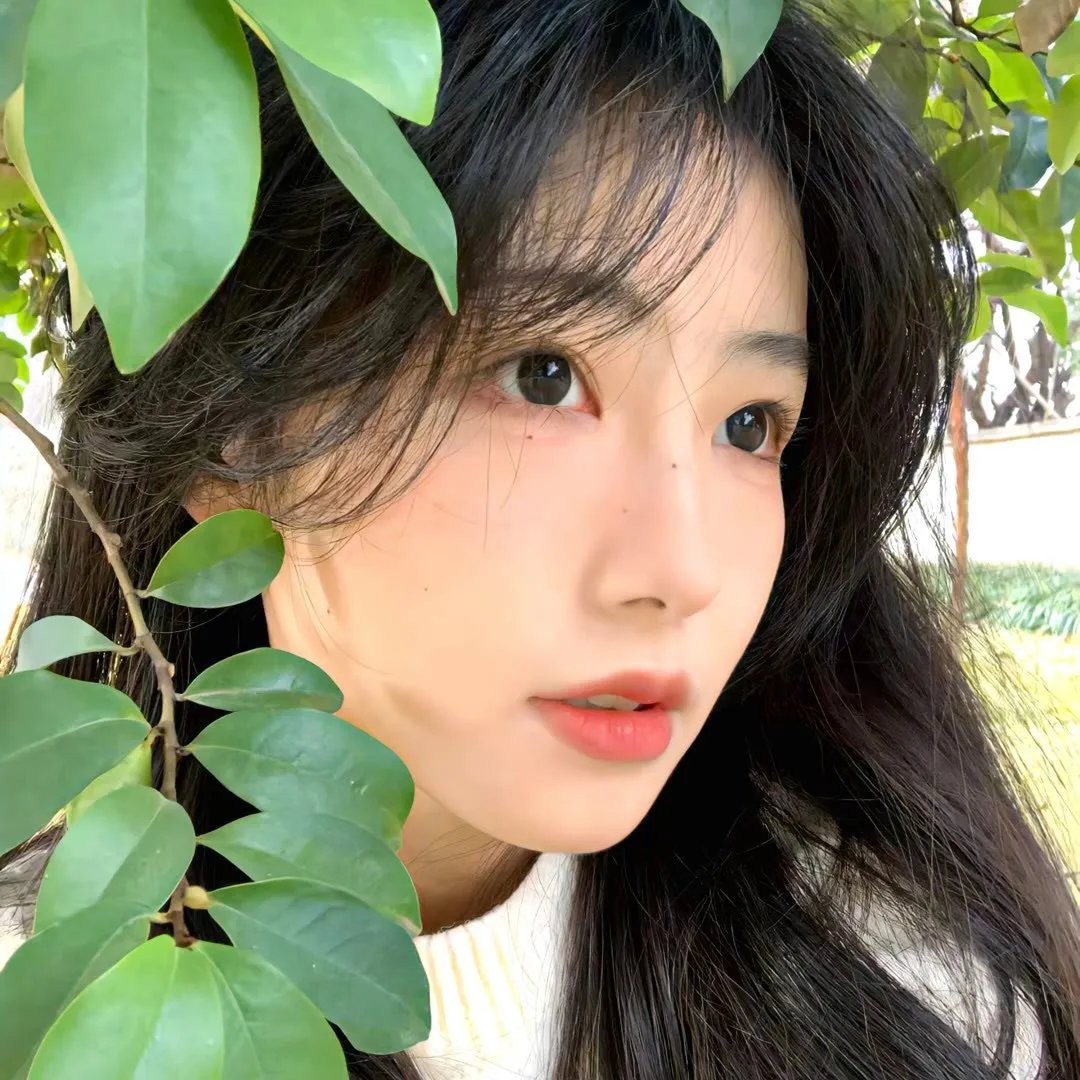 剩女约瑟芬国语